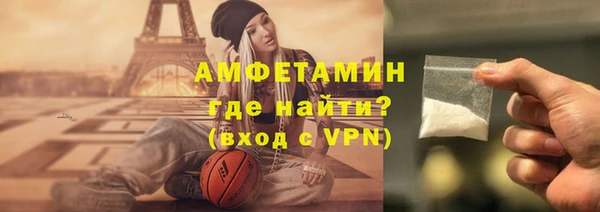 индика Богданович
