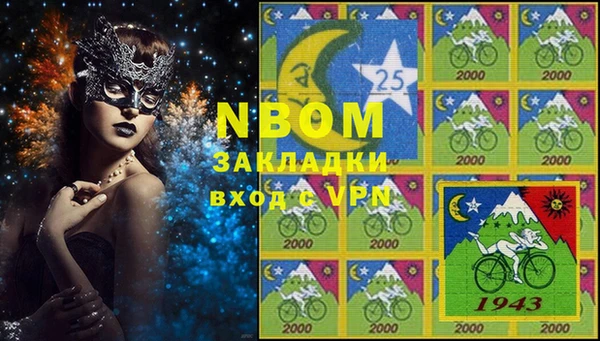 индика Богданович