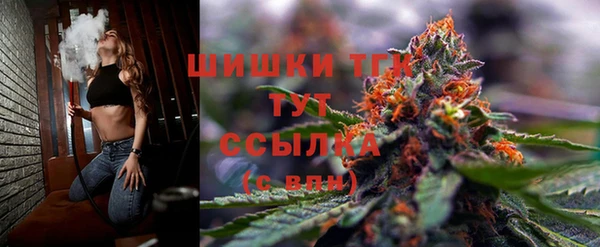 МДПВ Бугульма
