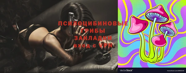 индика Богданович