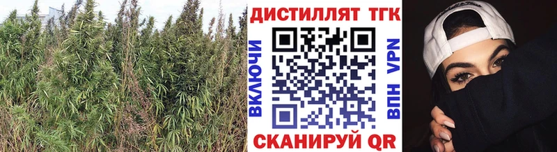 Дистиллят ТГК Wax  hydra   Орехово-Зуево 